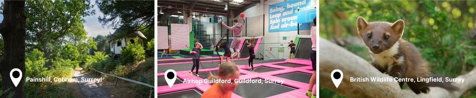 Images from around Surrey